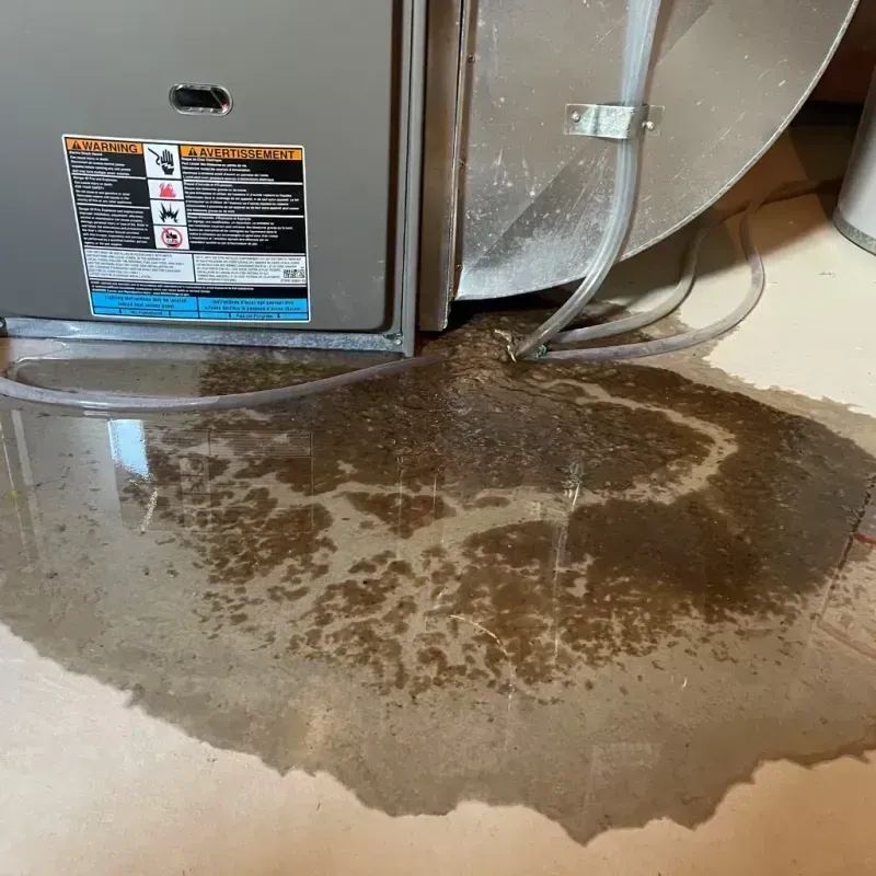 Appliance Leak Cleanup in West Union, OH